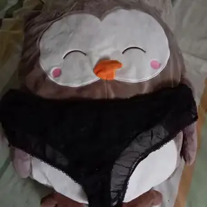 Braguitas recien puestas!
