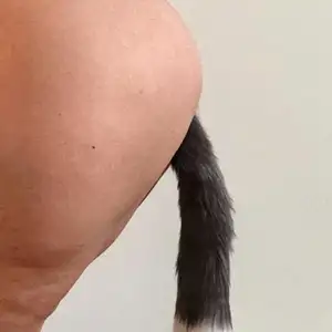 Plug anal