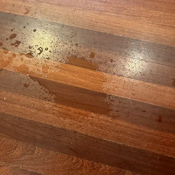 Vídeo con squirt